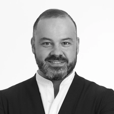 Denis Pokrovsky photo